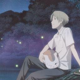 夏木图片,夏日光影下的诗意画卷