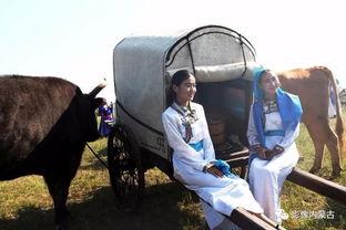 内蒙姑娘生活照,草原上的美丽画卷