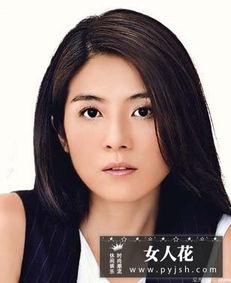 杨采妮个人资料介绍,从青春偶像到实力派演员的华丽蜕变