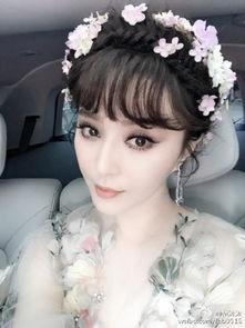 范冰的资料,才华横溢的艺术家，艺术生涯的璀璨篇章